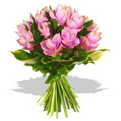 pink_flowers_front